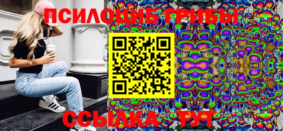 Псилоцибиновые грибы мицелий Краснознаменск