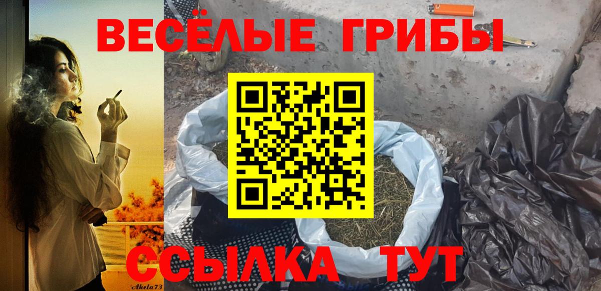 Псилоцибиновые грибы GOLDEN TEACHER  Вход с VPN  купить  цена  Краснознаменск 